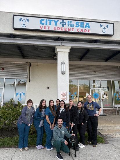 The City by the Sea Staff