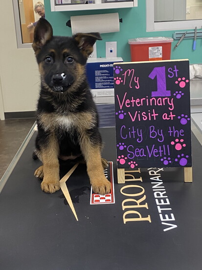 First Puppy Visit!