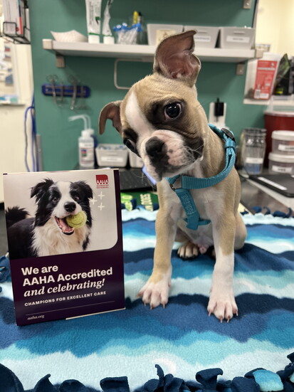 City by the Sea is AHAA Accredited!
