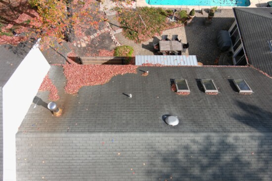 Leaf clutter on roof