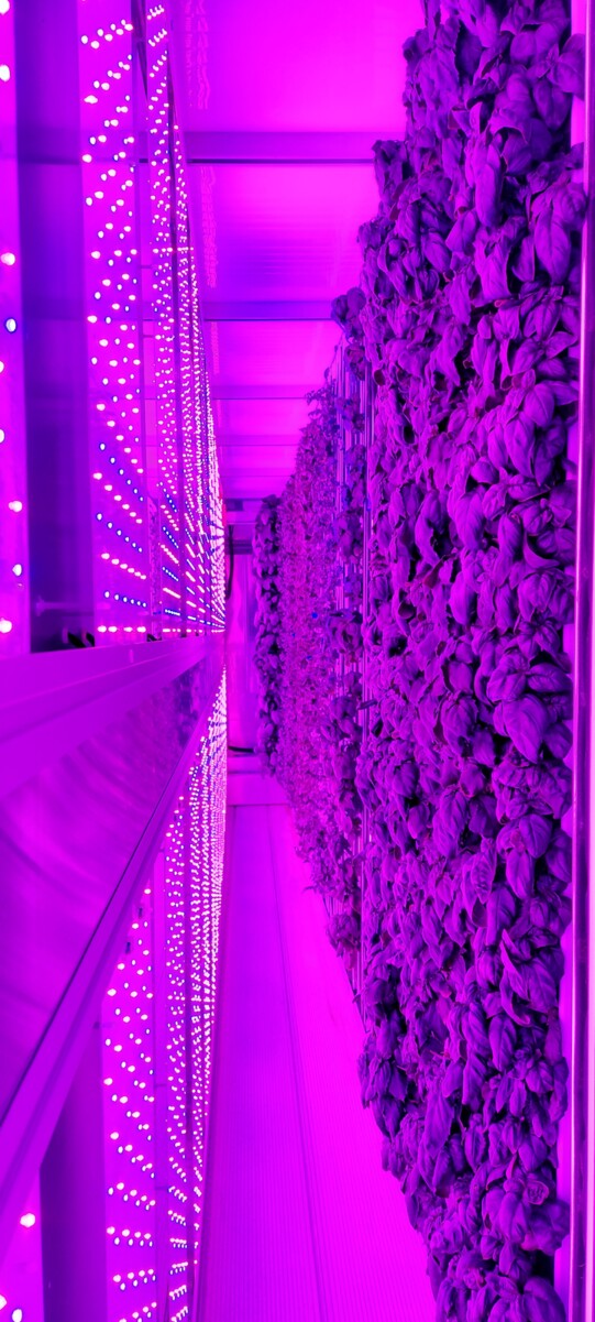 Inside the Autobarn Farm!