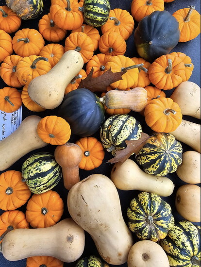 Gourds galore for sale at the West Hartford Farmers Market