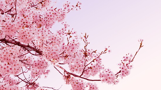 The donation to enter this April 22 event is $35 per person, which includes one drink and light appetizers.