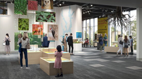 “If you’ve been to the former museum, I think when you walk into this space, you’ll be awe-inspired,” Mulliger says. 