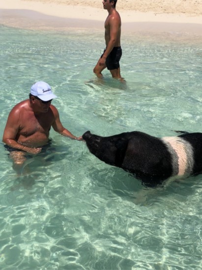 One of the swiming pigs of Exuma. (Sue Shimkus photo)