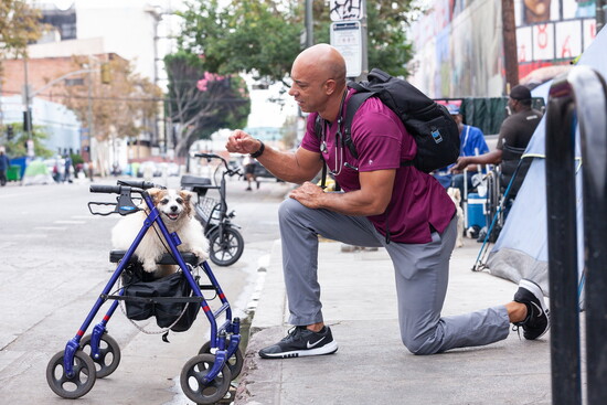 Stewart bends down to listen, not just to a heartbeat, but to a story.