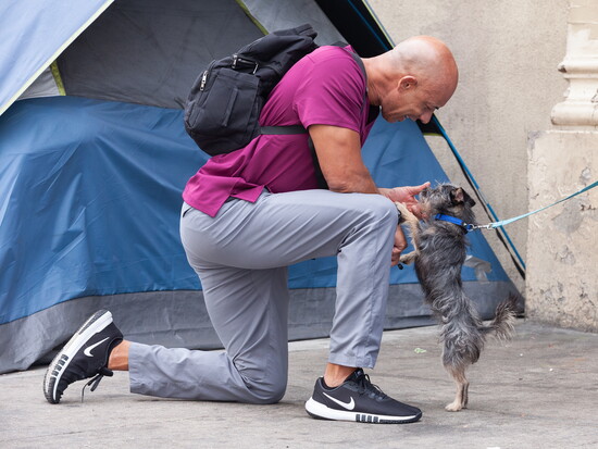 A moment of trust: Stewart leans in to reassure a dog whose family lives without shelter.