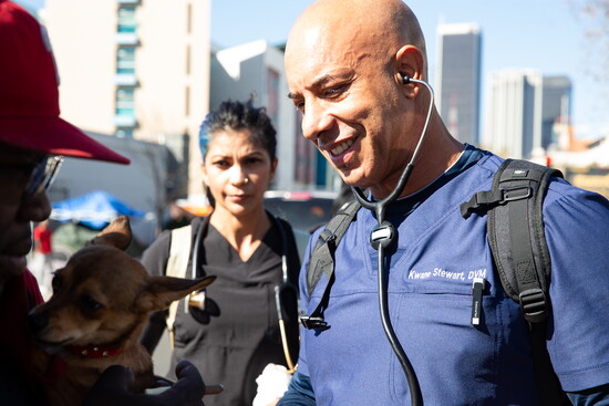 Stewart reminds us that access to care is about people as much as pets.