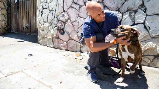 Dogs know kindness when they see it — and Stewart never holds back.