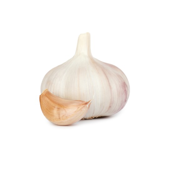 Garlic