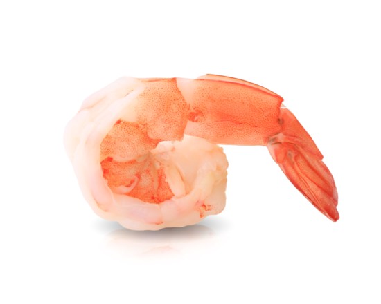 Shrimp