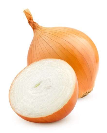 Onion