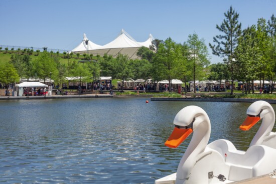 Swan rides on the Waterway across from The Woodlands Waterway Arts Festival.