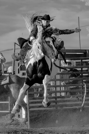 Title: “Flight”  Clayton Lunt rides a bronco at the Lewiston Independence Day Rodeo in Lewiston, Utah (2025) 