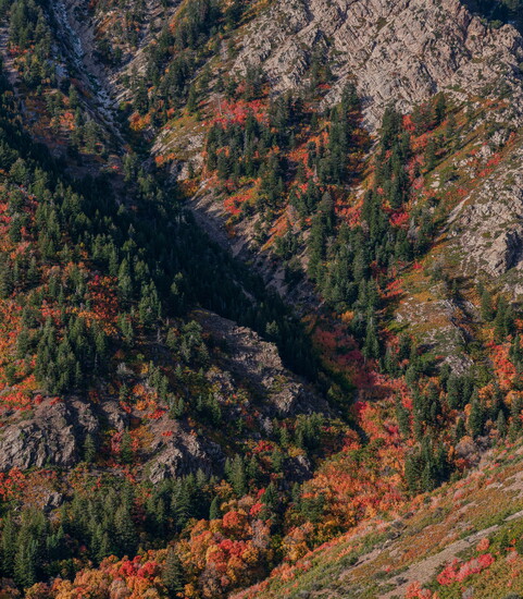Title: “Peak Autumn Vision”  Fall colors creep up the Mount Ogden Banana Chute, in Ogden, Utah (2023) 