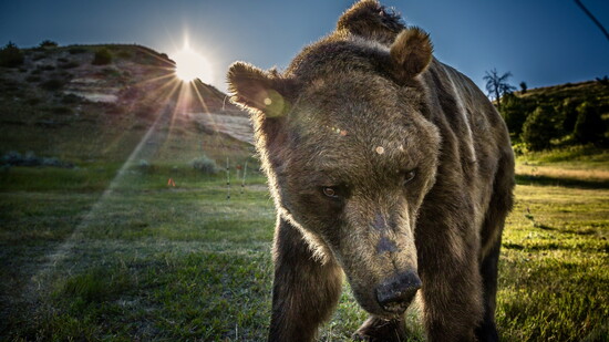 Photo Credit: Frederic Brault/Vol West