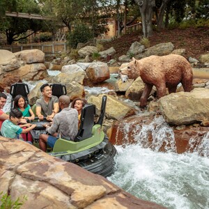 calico%20river%20rapids%20bear%20and%20riders-300?v=1