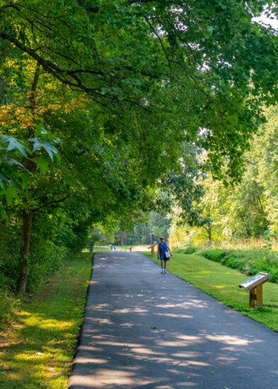 One good way of relieving winter stress is a quiet walk.