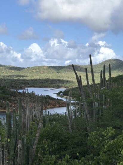 Unchartered territory - on the way to Rincón