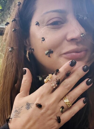 Mandaçaia Bees