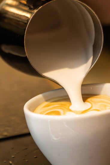 Still Life Coffee & Botanicals' morning pour.