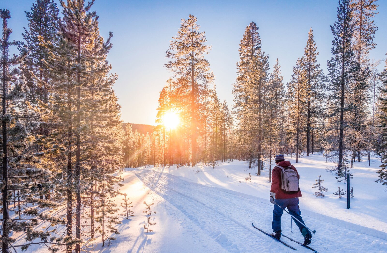 Beginner's guide to cross-country skiing