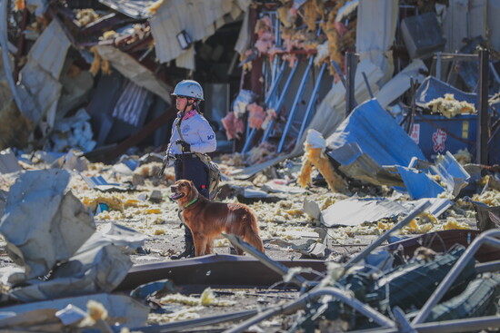 Texas A&M Task Force 1 K9 specialist Denise Corliss and her K9 Partner, Rennes, search for victims at a Houston explosion site on January 24, 2020
