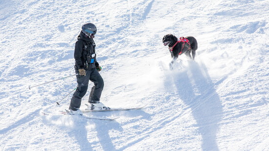 Betsy Norsen, Sr. Mountain Operations Manager and Riggins, a retired Mt. Bachelor Avalanche dog who passed away in December at the age of 14.5.