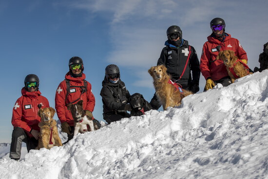 (l to r) Tyler Buwalda with Jetty; Alex Sypek with Ruddy; Betsy Norse with Riggins; Randy Bridges with Mango and Drew Clendenen with Shasta.