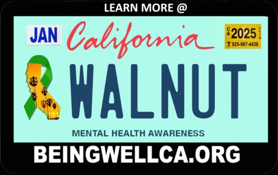 California Mental Health Awareness License Plate project, an initiative spearheaded by BeingwellCA.