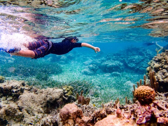 Snorkeling through coral reef near Ambergris Caye.
