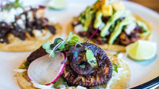 Octopus Taco Dish Consists of Grilled Octopus with Green Cabbage, Sliced Radish, Micro Greens and Mango Habanero Salsa
