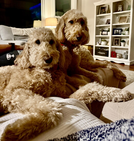 The Brawner Family, Chipper and Dansby 