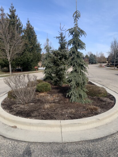 Landscape Design Before