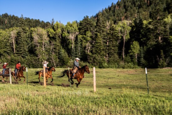 Giddyup! Dash across the meadow feeling newfound confidence.