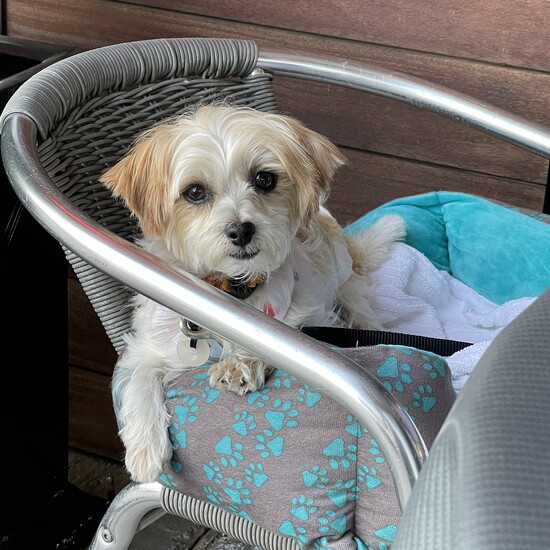 Betty, living her best life