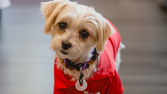 Betty, Chief Encouragement Officer at Healthy Body Healthy Soul