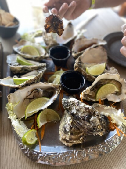 Fresh Pacific Oysters,  El Fisherman Cancun facebook.com/elfishermancancun