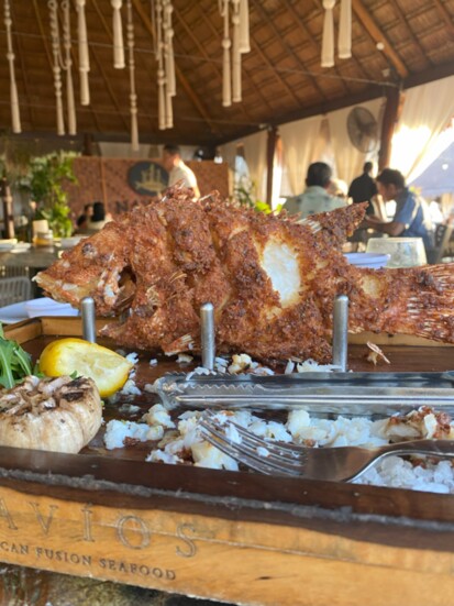 Mayan Style Fish, Navios Cancun Naviosseafood.com
