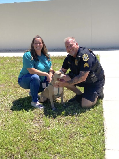 Suncoast Partnership Case Manager Kasey Ledford and Hammett with Hope. Suncoast Humane Society boards the dog for free until reunited with her homeless mom 