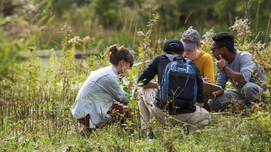 Students in the Chicago Botanic Garden's Negaunee Institute graduate program.