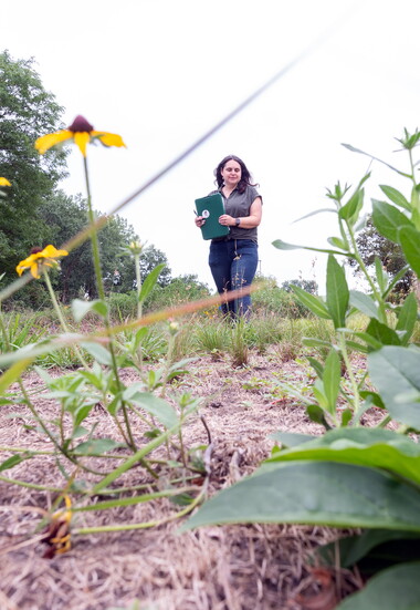 Becky Barak's lawn alternative study at the Chicago Botanic Garden's Negaunee Institute.