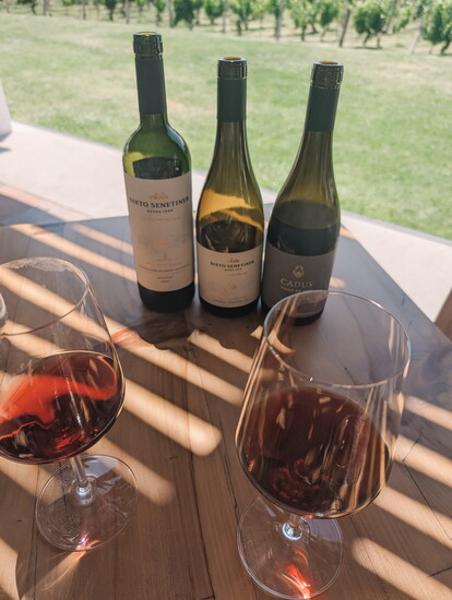 Wine tasting in Valle de Uco, Argentina