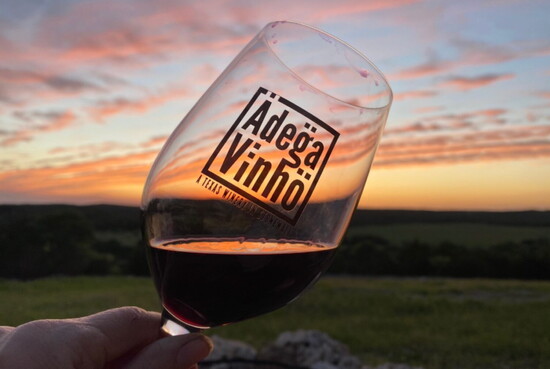 Adega Vinho