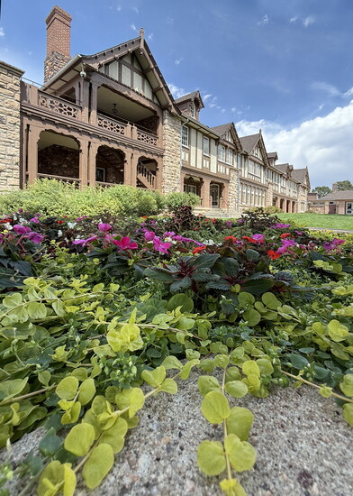 Annuals in the Well