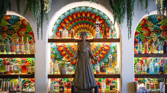 Bar Back