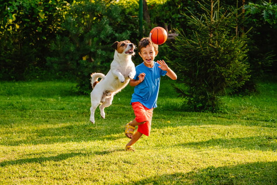 Backyards are made for laughter, fetch, and pest-free play.