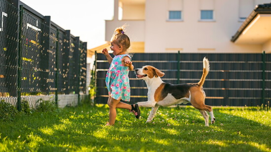 Just sunshine, sneakers, and wagging tails—no mosquitoes invited.