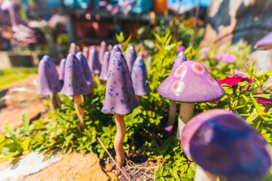 Adorable garden mushrooms! 
