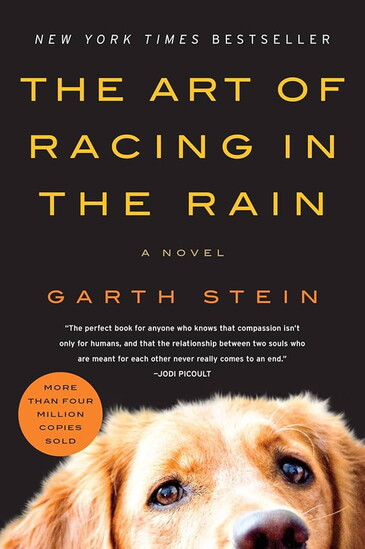 The Art Of Racing In The Rain by Garth Stein